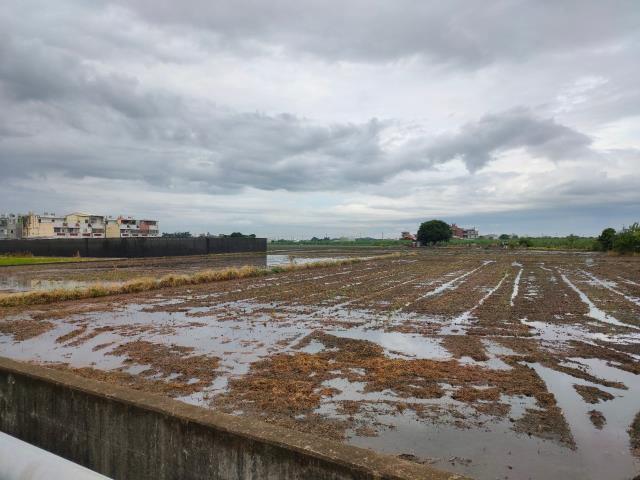 埤頭農地-5