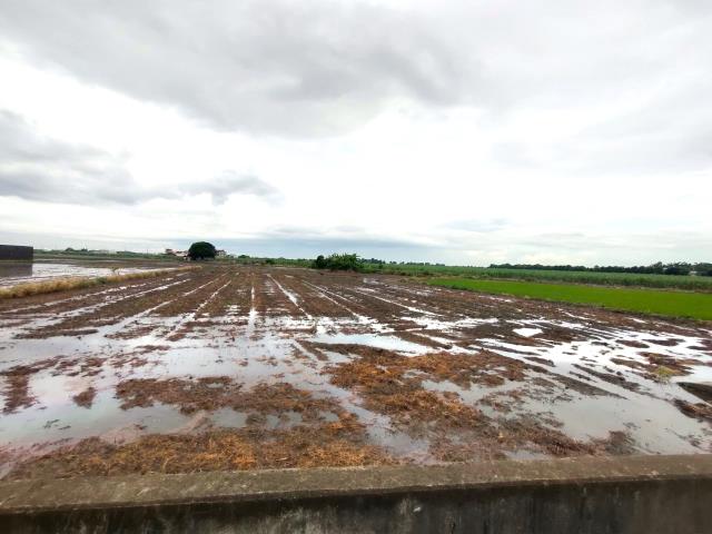 埤頭農地-8