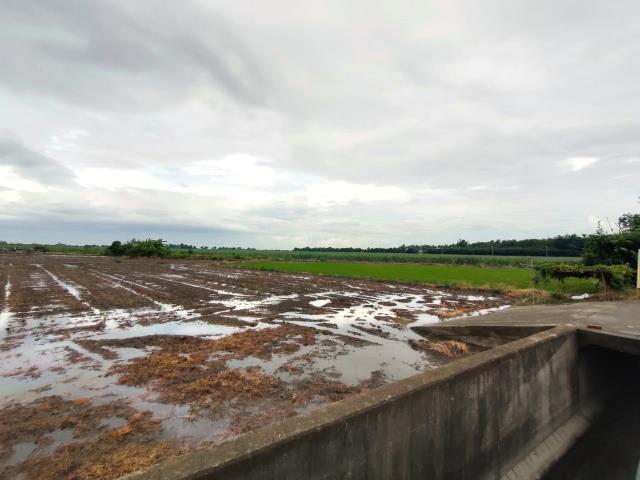 埤頭農地-9