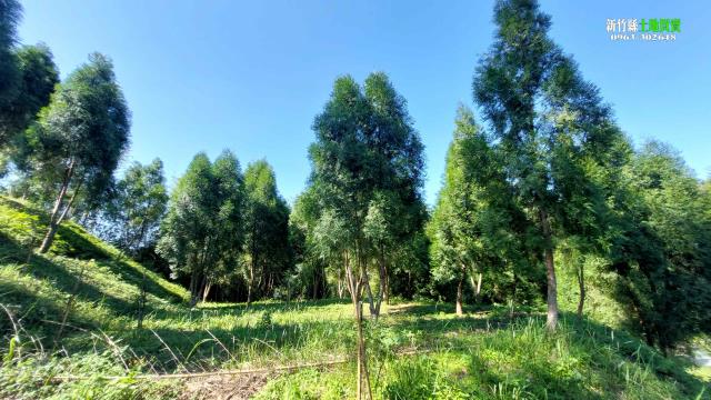 北埔農地-12