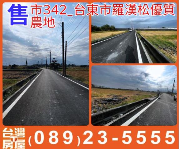 台東市羅漢松優質農地