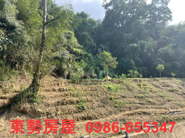 台中東勢農地-11