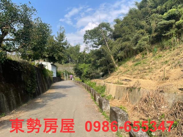 台中東勢農地-12