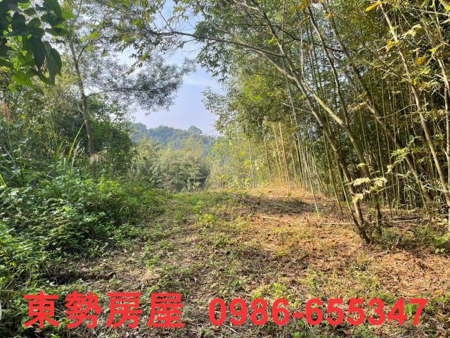 台中東勢農地-13
