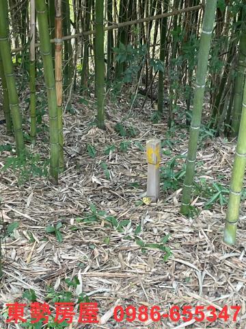 台中東勢農地-15