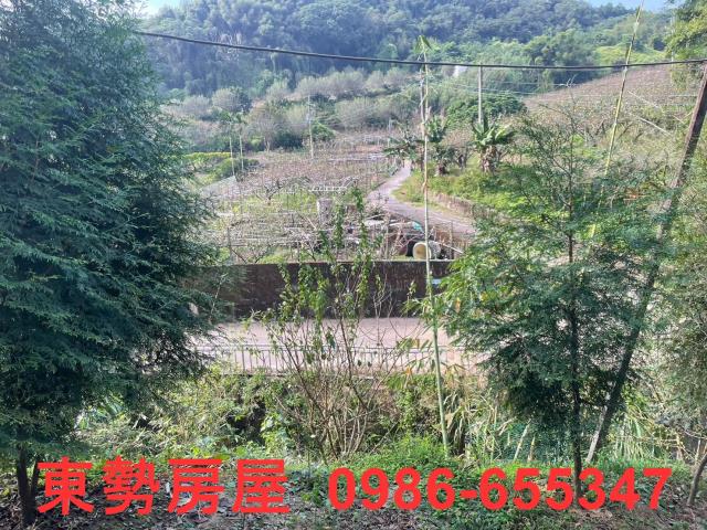 台中東勢農地-3