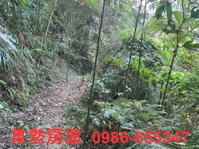 台中東勢農地-5