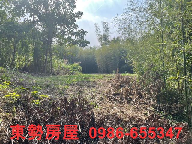 台中東勢農地-7