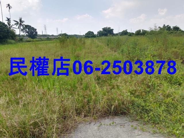 柳營農地-1