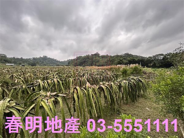 新竹農地-1