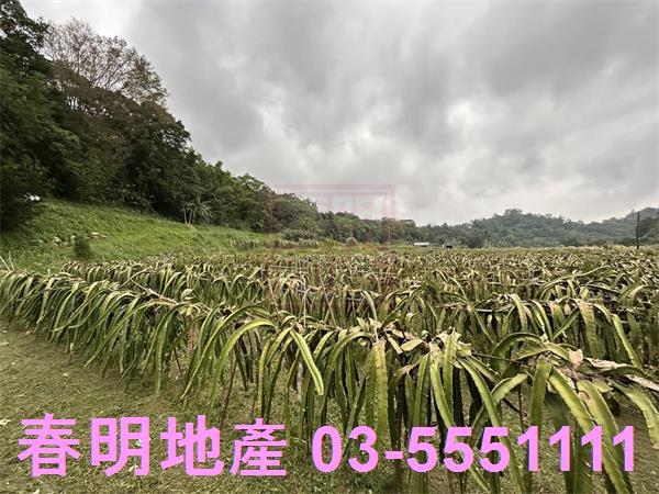 新竹農地-8