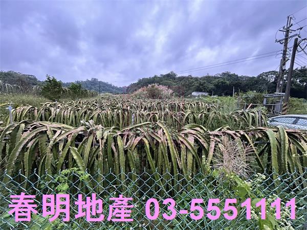 新竹農地-9