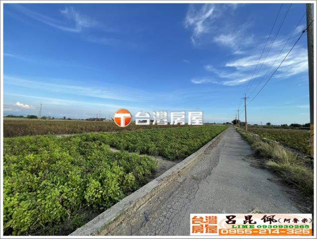 布袋農地-2