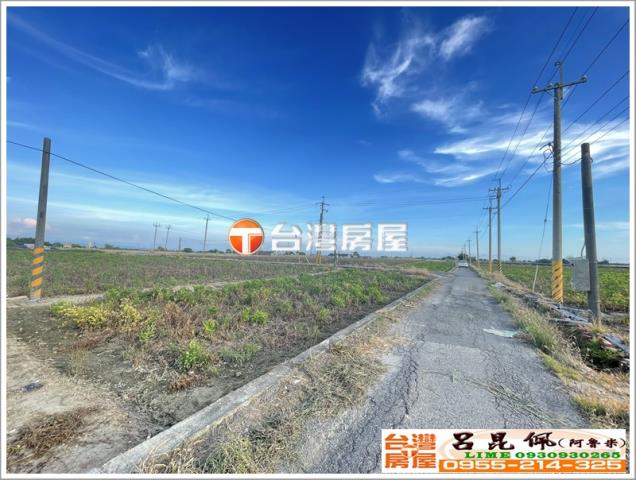 布袋農地-3