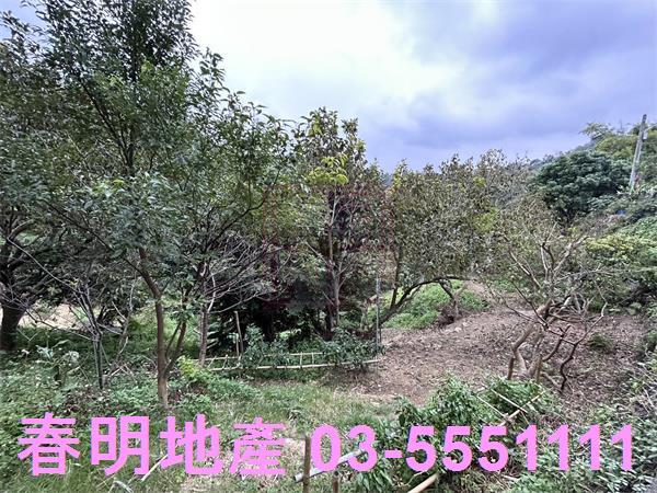 新竹農地-3