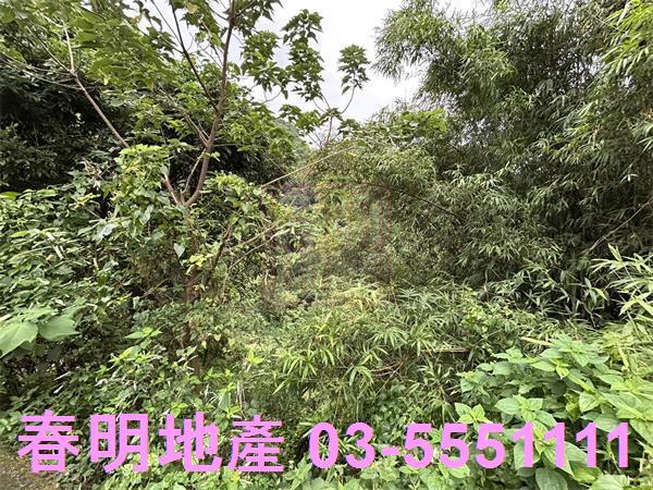 新竹農地-5