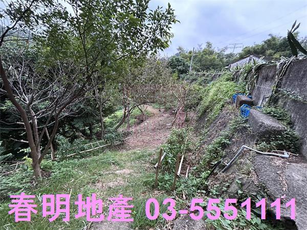 新竹農地-6