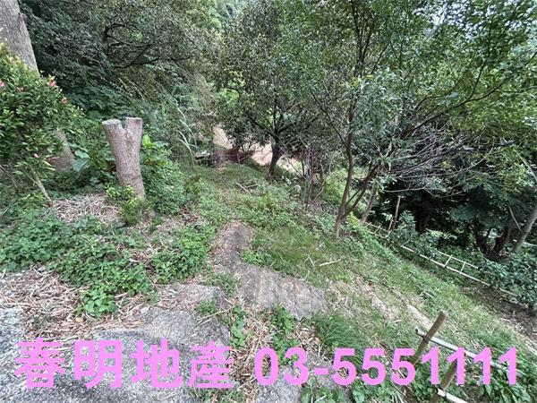 新竹農地-9