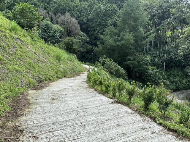 東勢農地-8