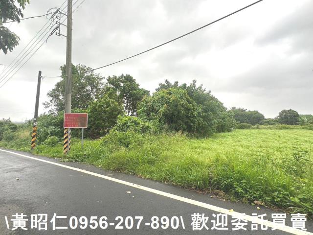 台南新市農地-8