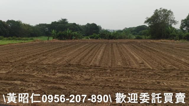 台南新市農地-1