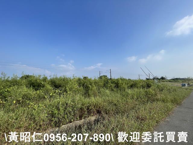 台南新市農地-3