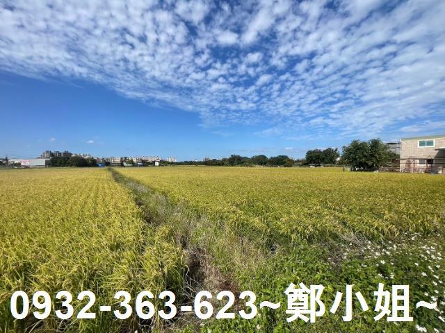 八德農地-3