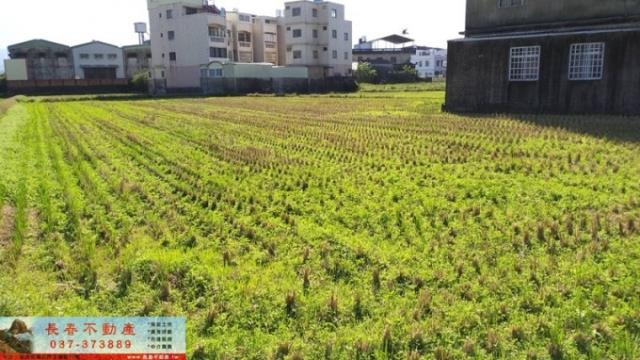 苗栗市農地-1