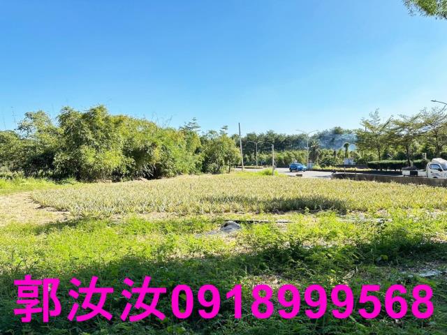 台南關廟農地-11