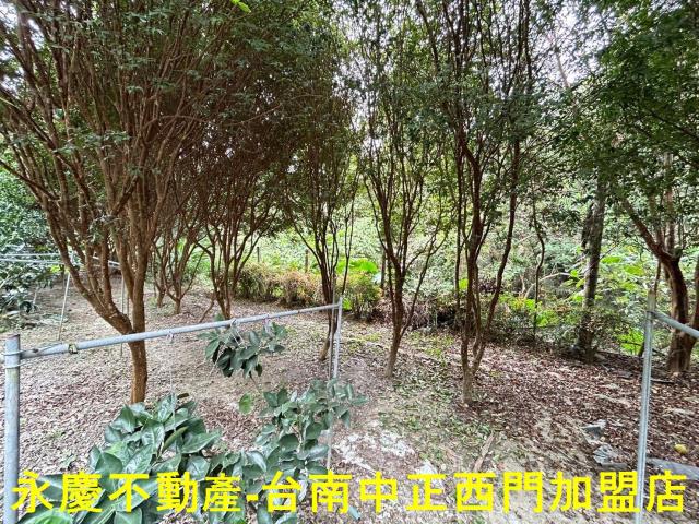 台南白河農地-10