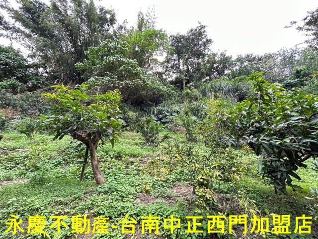 台南白河農地-11