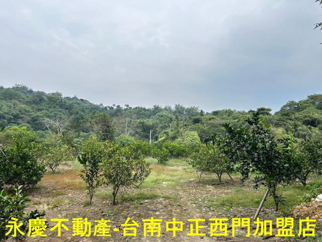 台南白河農地-12