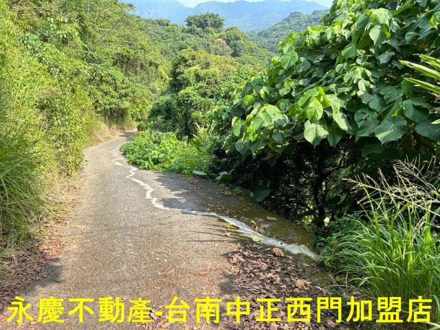 東山農地-8