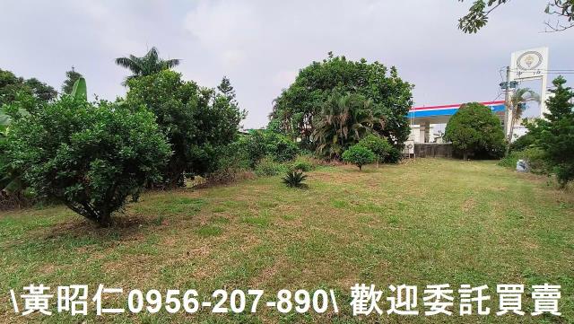 台南農地-12