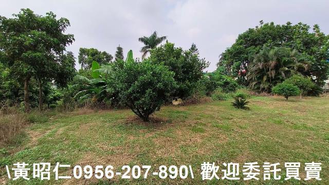 台南農地-15