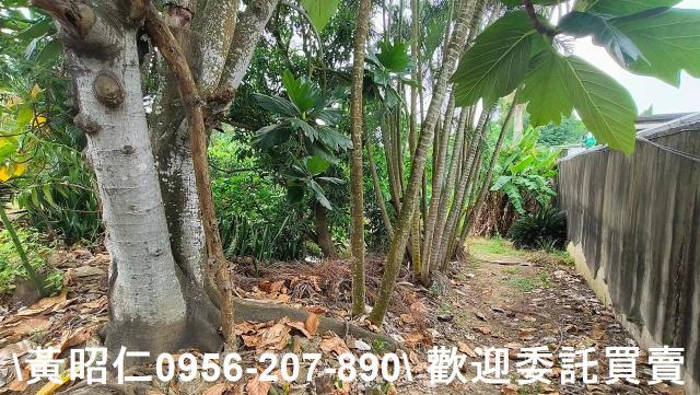 台南農地-1