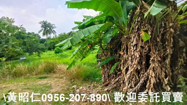 台南農地-2