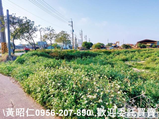 七股農地-3