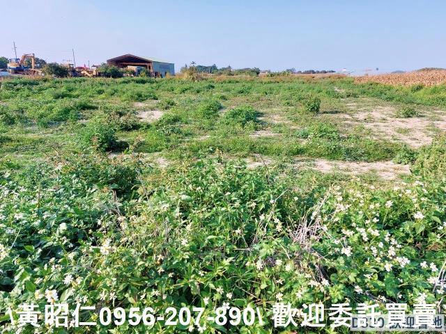 七股農地-5