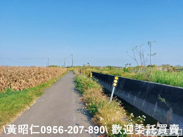 七股農地-7