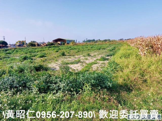 七股農地-8