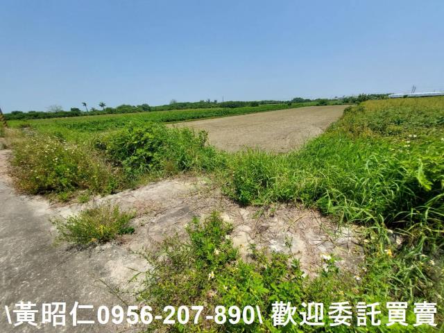 台南將軍農地-10