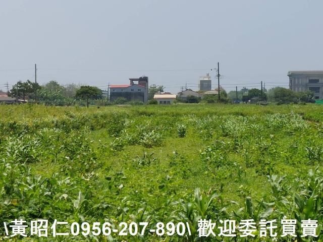 台南將軍農地-6