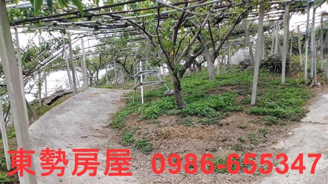 台中東勢農地-1