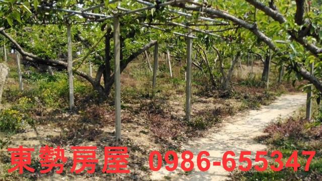 台中東勢農地-2
