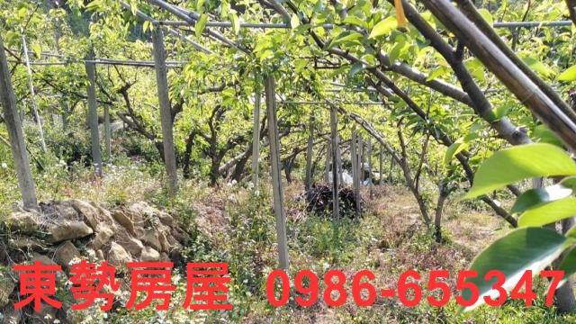 台中東勢農地-6