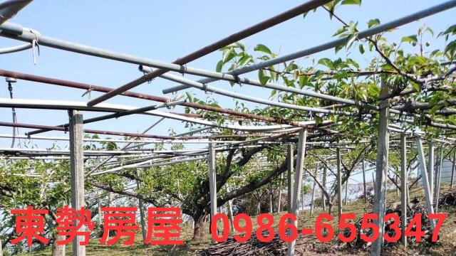 台中東勢農地-8