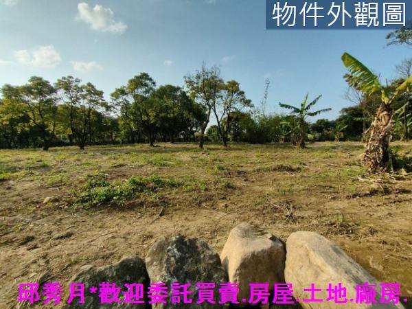 新北三芝農地-4
