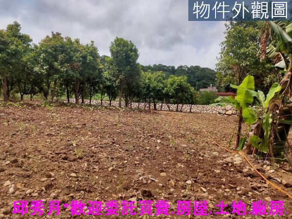 新北三芝農地-8