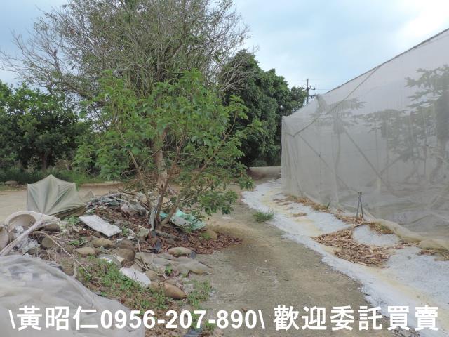 台南農地-12